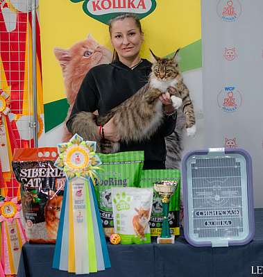 �������� ����� 29-30.10.2022 ���������� 6-58-659.jpg