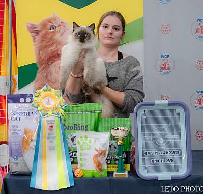 �������� ����� 29-30.10.2022 ���������� 7-18-650.jpg