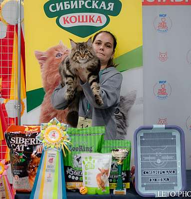 �������� ����� 29-30.10.2022 ���������� 9-13-625.jpg