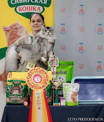   29-30.10.2022  1-14-532.jpg