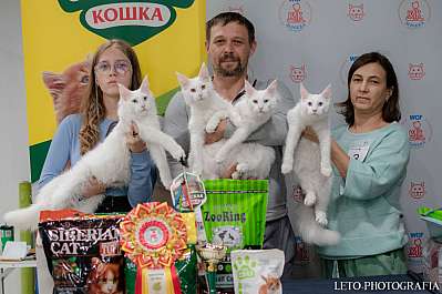   29-30.10.2022  10-3-440.jpg