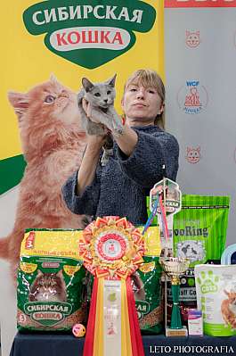   29-30.10.2022  2-37-527.jpg