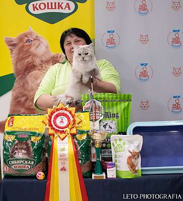   29-30.10.2022  3-64-496.jpg