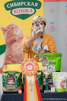   29-30.10.2022  5-54-482.jpg