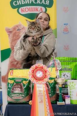   29-30.10.2022  9-13-449.jpg