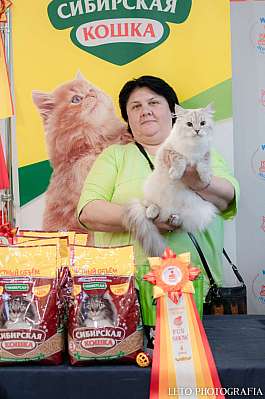 �������� ����� 29-30.10.2022 ���������� 4-64-144.jpg