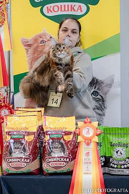 �������� ����� 29-30.10.2022 ���������� 5-8-156.jpg