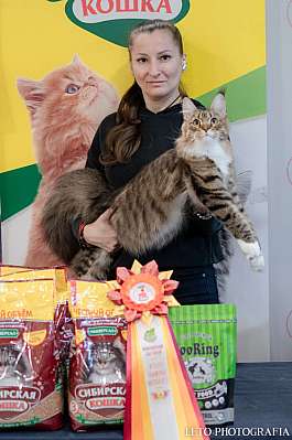 �������� ����� 29-30.10.2022 ���������� 6-58-163.jpg