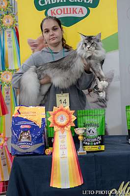 �������� ����� 29-30.10.2022 ���������� 1-14-477.jpg