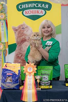 �������� ����� 29-30.10.2022 ���������� 2-41-468.jpg