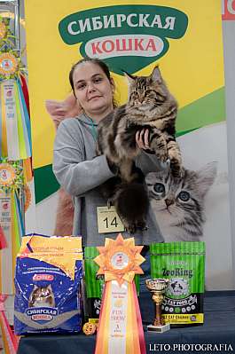 �������� ����� 29-30.10.2022 ���������� 3-13-455.jpg