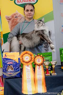 �������� ����� 29-30.10.2022 ���������� 1-14-234.jpg