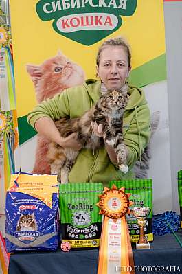 �������� ����� 29-30.10.2022 ���������� 3-62-240.jpg