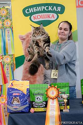 �������� ����� 29-30.10.2022 ���������� 4-13-252.jpg