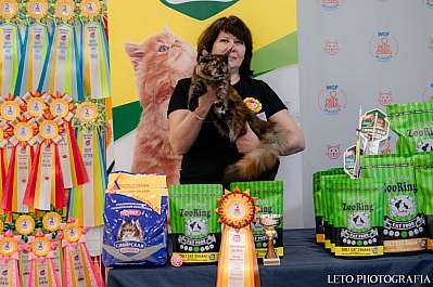 �������� ����� 29-30.10.2022 ���������� 5-7-248.jpg