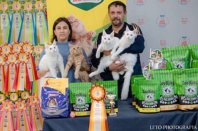 �������� ����� 29-30.10.2022 ���������� 6-3-255.jpg