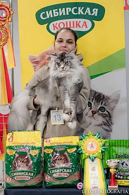 �������� ����� 29-30.10.2022 ���������� 1-14-428.jpg