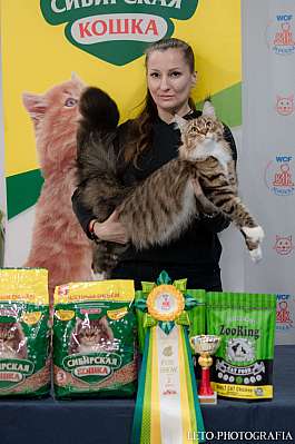 �������� ����� 29-30.10.2022 ���������� 2-58-402.jpg