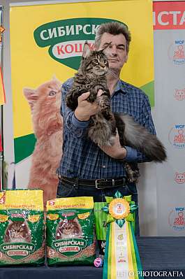 �������� ����� 29-30.10.2022 ���������� 4-61-413.jpg