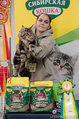 �������� ����� 29-30.10.2022 ���������� 5-13-417.jpg