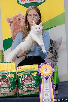 �������� ����� 29-30.10.2022 ���������� 6-67-395.jpg