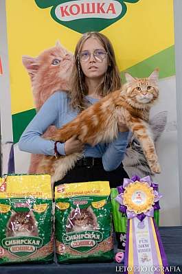 �������� ����� 29-30.10.2022 ���������� 8-68-407.jpg