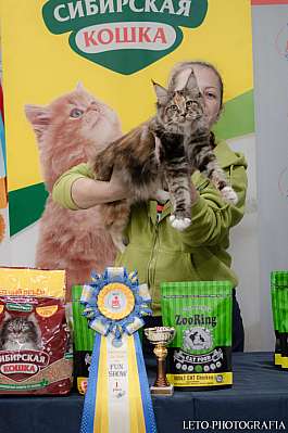 �������� ����� 29-30.10.2022 ���������� 1-62-524.jpg