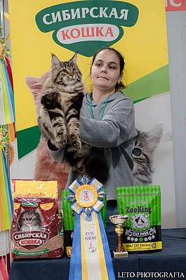 �������� ����� 29-30.10.2022 ���������� 2-13-534.jpg