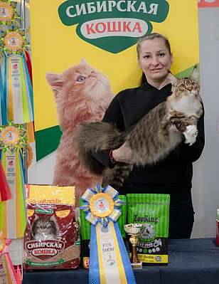 �������� ����� 29-30.10.2022 ���������� 3-58-546.jpg