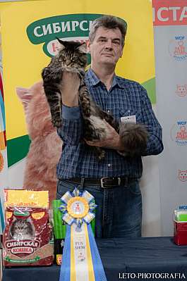 �������� ����� 29-30.10.2022 ���������� 5-61-542.jpg