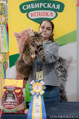 �������� ����� 29-30.10.2022 ���������� 7-8-562.jpg