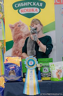 �������� ����� 29-30.10.2022 ���������� 3-37-153.jpg