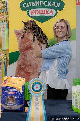 �������� ����� 29-30.10.2022 ���������� 6-26-132.jpg