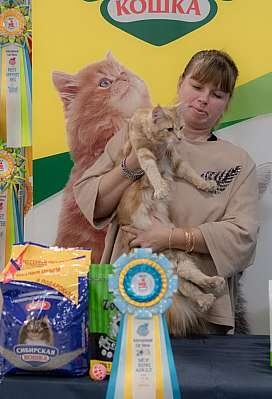 �������� ����� 29-30.10.2022 ���������� 7-6-126.jpg