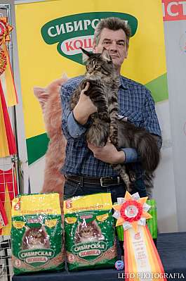 �������� ����� 29-30.10.2022 ���������� 6-61-307.jpg