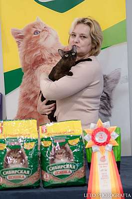 �������� ����� 29-30.10.2022 ���������� 7-35-279.jpg