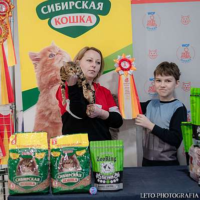 �������� ����� 29-30.10.2022 ���������� 8-28-314.jpg