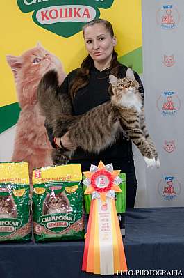 �������� ����� 29-30.10.2022 ���������� 9-58-302.jpg