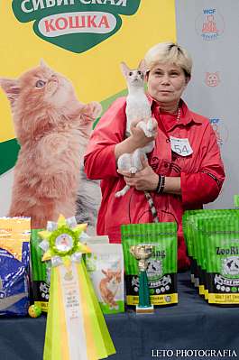 �������� ����� 29-30.10.2022 ���������� 2-54-358.jpg