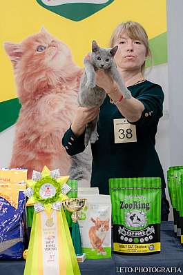 �������� ����� 29-30.10.2022 ���������� 3-38-364.jpg