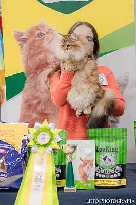 �������� ����� 29-30.10.2022 ���������� 5-22-415.jpg