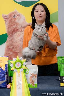 �������� ����� 29-30.10.2022 ���������� 6-21-409.jpg