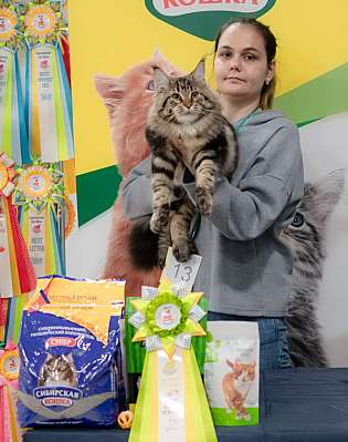 �������� ����� 29-30.10.2022 ���������� 7-13-393.jpg