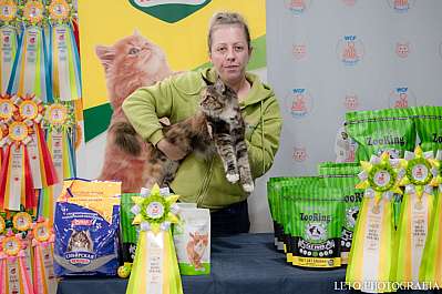 �������� ����� 29-30.10.2022 ���������� 8-62-371.jpg