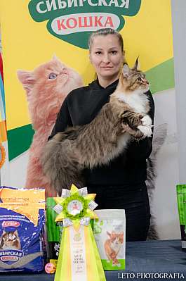 �������� ����� 29-30.10.2022 ���������� 9-58-403.jpg