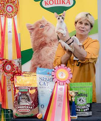 �������� ����� 29-30.10.2022 ���������� 3-54-081.jpg