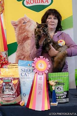 �������� ����� 29-30.10.2022 ���������� 4-7-061.jpg