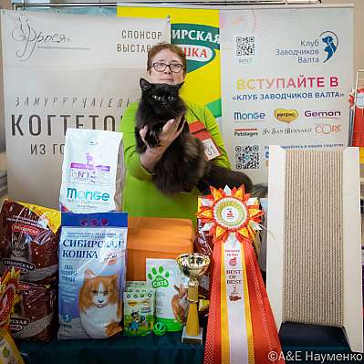 �������� ����� 18-19.03.2023 ���������� 2-31-0271_Moskva.jpg