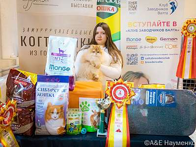 �������� ����� 18-19.03.2023 ���������� 8-4-0261_Moskva.jpg