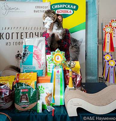 �������� ����� 18-19.03.2023 ���������� 3-10-0449_Moskva.jpg